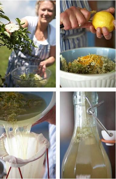 Sureau cordiale, River Cottage (jus de sureau comment faire) Sureau cordiale, River Cottage