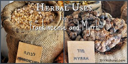 Myrrhe et l'encens - et les nombreuses façons de les utiliser (Utilise Myrrhe oliban) Myrrhe et l'encens - Et les nombreuses façons de les utiliser
