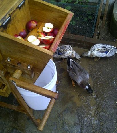 Génie! Cidre DIY Apple Press - Bob Vila (génie) Génie! Cidre DIY Apple Press - Bob Vila