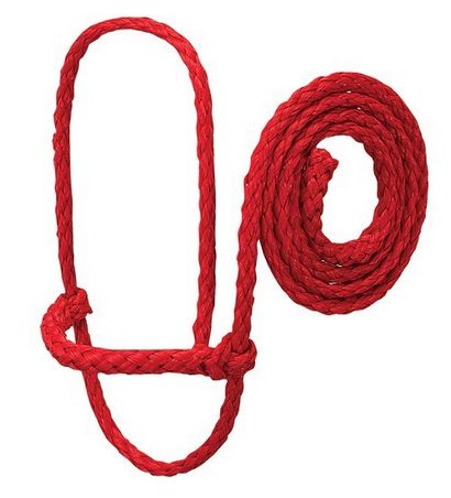 Obtenir l'équipement bon équipement pour la formation et d'emballage, chèvres packgoats (à droite) Obtenir l'équipement bon équipement pour la formation et d'emballage chèvres, packgoats