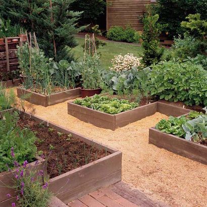 Pousser un jardin potager lits surélevés (lits) Pousser un jardin potager lits surélevés