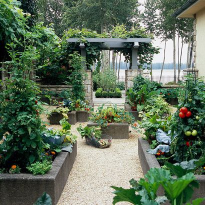 Pousser un jardin potager lits surélevés (grandir) Pousser un jardin potager lits surélevés