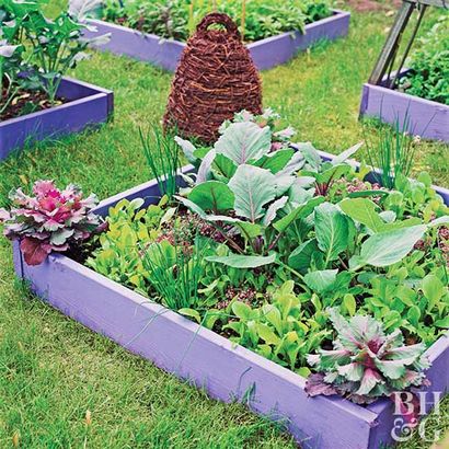 Cultivez un jardin de légumes sur billons (légume) Pousser un jardin potager lits surélevés