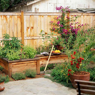 Pousser un jardin potager lits surélevés (lits) Pousser un jardin potager lits surélevés