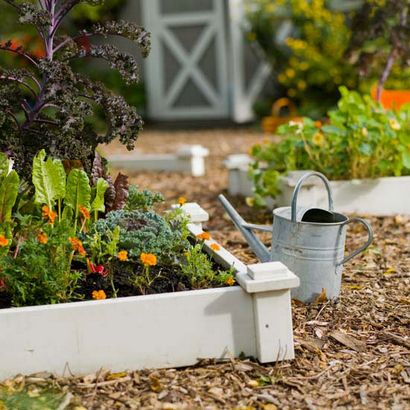 Pousser un jardin potager lits surélevés (lits) Pousser un jardin potager lits surélevés
