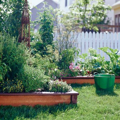 Cultivez un jardin potager lits surélevés (jardin) Pousser un jardin potager lits surélevés