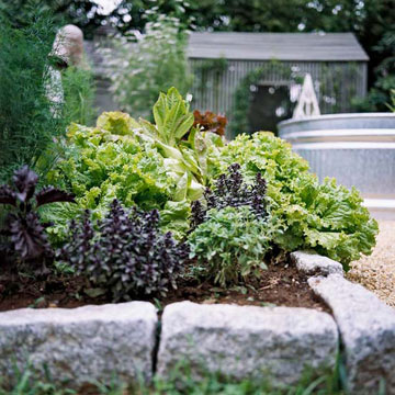 Cultivez un jardin de légumes sur billons (légume) Pousser un jardin potager lits surélevés