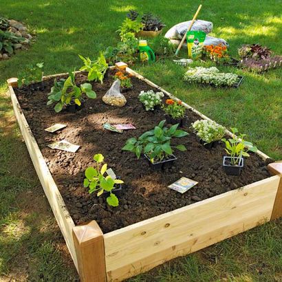 Pousser un jardin potager lits surélevés (en relief) Pousser un jardin potager lits surélevés
