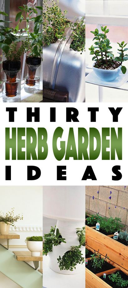 Jardins Herb 30 grands __gVirt_NP_NNS_NNPS<__ Idées Herb Garden - Le marché Cottage (comment faire jardin d'herbes aromatiques mur) Jardins Herb 30 grands __gVirt_NP_NNS_NNPS<__ Idées Herb Garden - Le marché Cottage