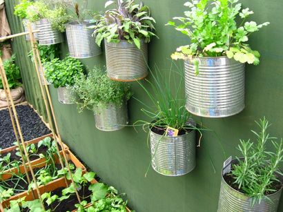 Jardins Herb 30 grands Ideas Herb Garden - Le marché Cottage (herbe) Jardins Herb 30 grands __gVirt_NP_NNS_NNPS<__ Idées Herb Garden - Le marché Cottage
