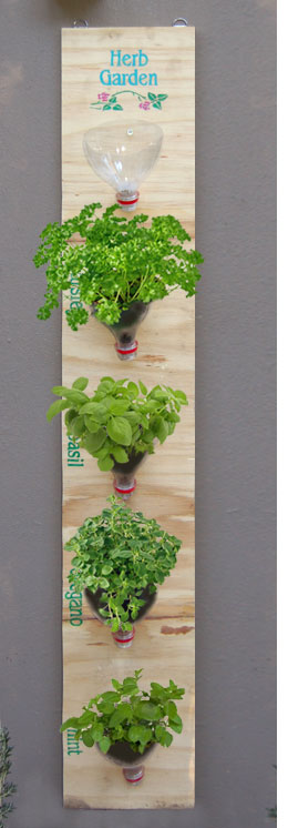 Jardins Herb 30 grands Ideas Herb Garden - Le marché Cottage (herbe) Jardins Herb 30 grands __gVirt_NP_NNS_NNPS<__ Idées Herb Garden - Le marché Cottage