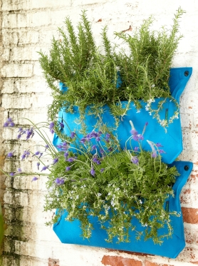 Jardins Herb 30 grands __gVirt_NP_NNS_NNPS<__ Idées Herb Garden - Le marché Cottage (grande) Jardins Herb 30 grands __gVirt_NP_NNS_NNPS<__ Idées Herb Garden - Le marché Cottage
