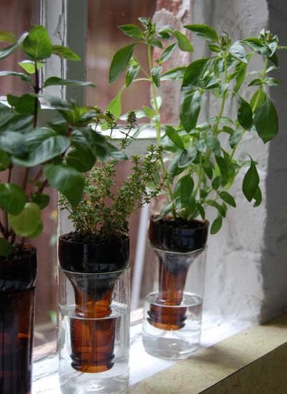 Jardins Herb 30 grands Ideas Herb Garden - Le marché Cottage (herbe) Jardins Herb 30 grands __gVirt_NP_NNS_NNPS<__ Idées Herb Garden - Le marché Cottage