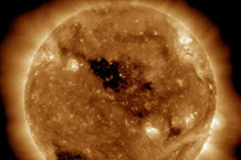 Comment les tournesols suivent la trajectoire du soleil Une horloge circadienne révélé (chemin) Comment les tournesols suivent la trajectoire du soleil Une horloge circadienne révélé