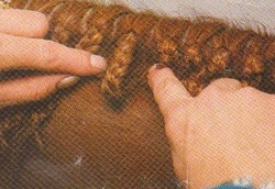 Comment Braid un cheval de Mane - Connection Jumper Hunter (tresse pour le cheval montre) Comment Braid un cheval de la Mane - Connexion Jumper Hunter