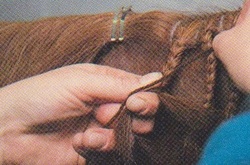 Comment Braid un cheval de Mane - Connection Jumper Hunter (tresse un cheval) Comment Braid un cheval de la Mane - Connexion Jumper Hunter