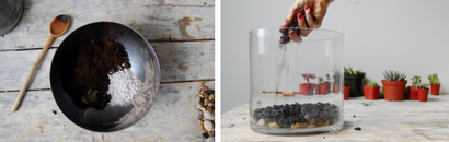 Comment construire le Terrarium de vos rêves (fonction) Comment construire le Terrarium de vos rêves
