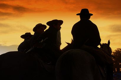 Comment faire contre jour la photographie (jour) Comment faire contre jour la photographie