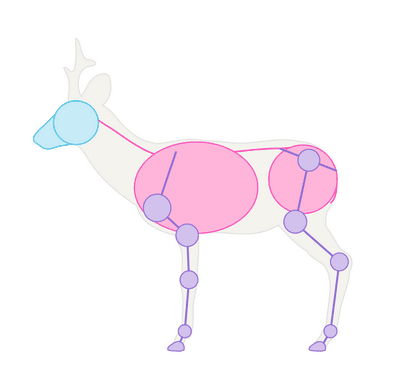 Comment dessiner des animaux Deer - Espèces et anatomie (comment faire un dessin de cerf) Comment dessiner des animaux Deer - Espèces et anatomie