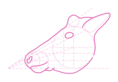 Comment dessiner des animaux Deer - Espèces et anatomie (espèces) Comment dessiner des animaux Deer - Espèces et anatomie