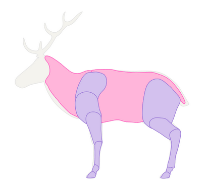 Comment dessiner des animaux Deer - Espèces et anatomie (comment faire un dessin de cerf) Comment dessiner des animaux Deer - Espèces et anatomie
