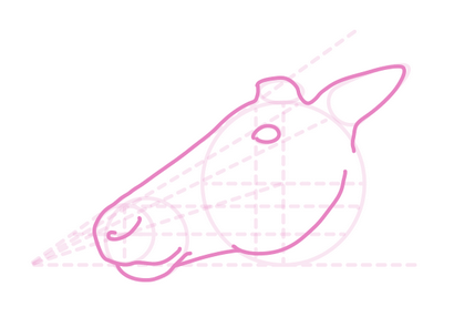 Comment dessiner des animaux Deer - Espèces et anatomie (cerf) Comment dessiner des animaux Deer - Espèces et anatomie