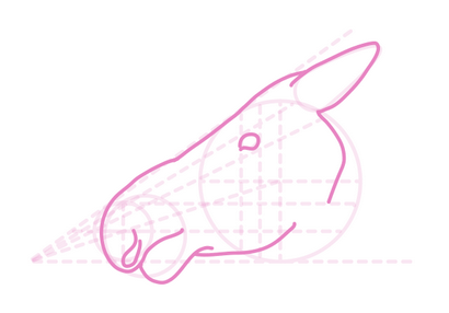 Comment dessiner des animaux Deer - Espèces et anatomie (comment faire un dessin de cerf) Comment dessiner des animaux Deer - Espèces et anatomie