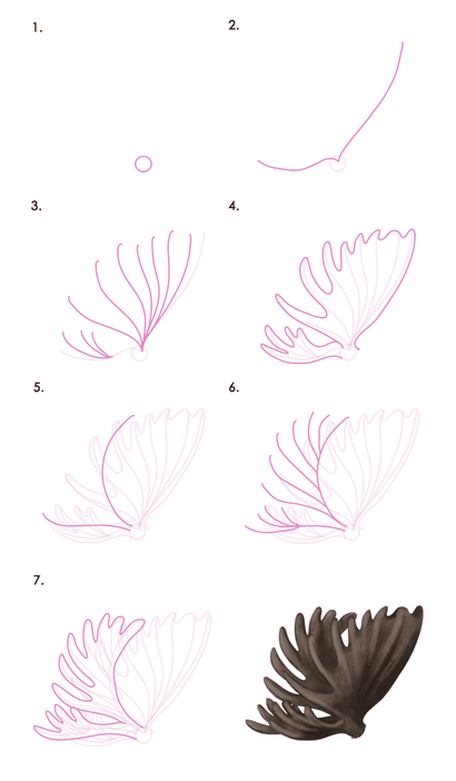 Comment dessiner des animaux Deer - Espèces et anatomie (animaux) Comment dessiner des animaux Deer - Espèces et anatomie