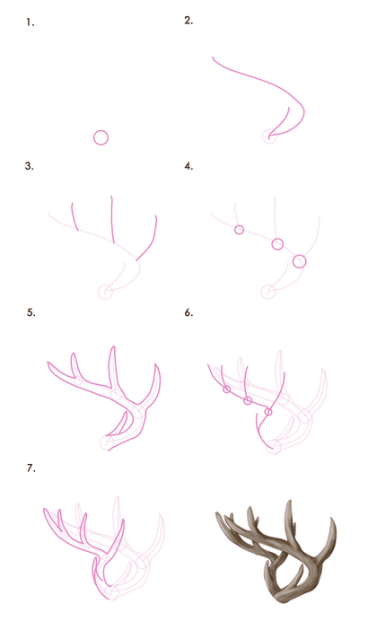 Comment dessiner des animaux Deer - Espèces et anatomie (comment faire un dessin de cerf) Comment dessiner des animaux Deer - Espèces et anatomie