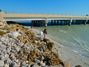 Comment faire pour percer des trous dans les coquilles de mer (shell ver) Comment faire pour percer des trous dans des coquillages