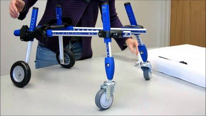 Comment faire un fauteuil roulant pour chien Un guide complet pour un projet de bricolage utile (fauteuil roulant petit chien comment faire) Comment faire un fauteuil roulant pour chien Un guide complet pour un projet de bricolage utile