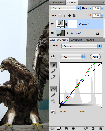 Comment faire des ailes d'ange et changer les couleurs de la peau dans Photoshop (faire) Comment faire des ailes d'ange et changer les couleurs de la peau dans Photoshop