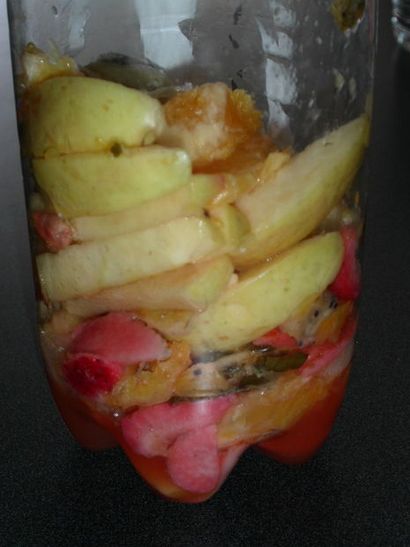 Comment faire gazéifiée fruits 5 étapes (avec photos) (faire des fruits gazéifiée) Comment faire gazéifiée fruits 5 étapes (avec photos)