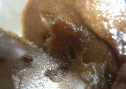 Comment faire de hachage à la maison recette traditionnelle Californie (maison) Comment faire de hachage à la maison recette traditionnelle Californie