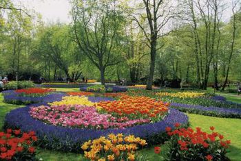 Comment planter un cercle Parterre de fleurs, Home Guides, SF Gate (comment faire un lit de cercle) Comment planter un cercle Parterre de fleurs, guides d'accueil, SF Porte