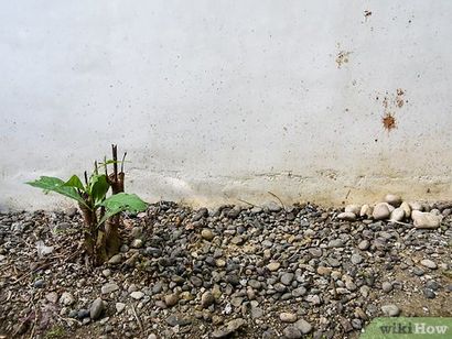 Comment Rake un jardin zen 9 étapes (avec photos) (jardin) Comment Rake un jardin zen 9 étapes (avec photos)