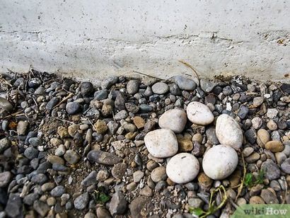Comment Rake un jardin zen 9 étapes (avec photos) (motif Cette traduction) Comment Rake un jardin zen 9 étapes (avec photos)