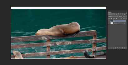 Comment faire pour utiliser le contenu Aware Mise à l'échelle dans Adobe Photoshop (Adobe) Comment faire pour utiliser le contenu Aware Mise à l'échelle dans Adobe Photoshop
