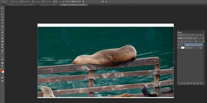 Comment faire pour utiliser le contenu Aware Mise à l'échelle dans Adobe Photoshop (mise à l'échelle) Comment faire pour utiliser le contenu Aware Mise à l'échelle dans Adobe Photoshop