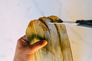 Il - s Zongzi Saison savoir ce que cela signifie (comment faire recette zongzi) Il - s Zongzi Saison savoir ce que cela signifie