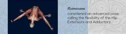 Kurmasana, Tortoise Pose, Stretch Pancake - EasyFlexibility (pose) Kurmasana, tortue Pose, crêpes stretch - EasyFlexibility