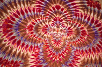 Faire de l'art Designs Tie-dye, motifs, couleurs (eau soit claire) Faire de l'art Designs Tie-dye, motifs, couleurs