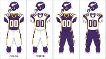 Minnesota Vikings (Vikings leur premier) Vikings du Minnesota