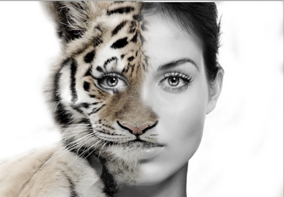 Morphing visages humains avec des animaux Faces dans Photoshop - Formation Acuity (Photoshop) Morphing visages humains avec des animaux Faces dans Photoshop - Formation Acuity
