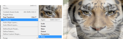 Morphing visages humains avec des visages animaux dans Photoshop - Formation Acuity (animal) Morphing visages humains avec des animaux Faces dans Photoshop - Formation Acuity