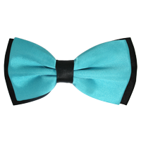 Bow Ties lisses (arc ensembles cravate) Bow Ties lisses