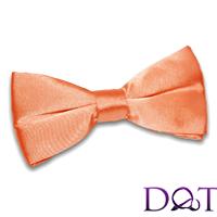 Noeuds papillon lisses (représenter avec précision les couleurs) Bow Ties lisses