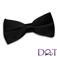 Bow Ties lisses (__gVirt_NP_NN_NNPS<__ arc de satin) Bow Ties lisses