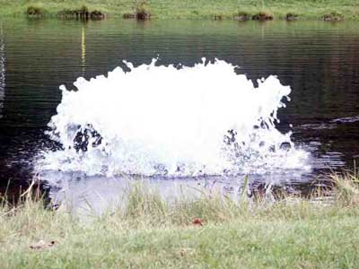 Étang Informations Aeration (étang Informations Aeration) Étang Informations Aeration