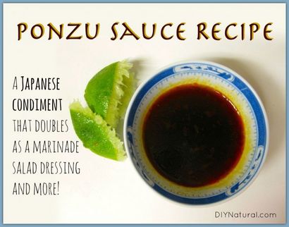 Ponzu Recette Sauce - Un Japonais Umami Condiments - Plus (comment faire la sauce de soja ponzu) Ponzu Recette Sauce - Un Japonais Umami Condiments - Plus